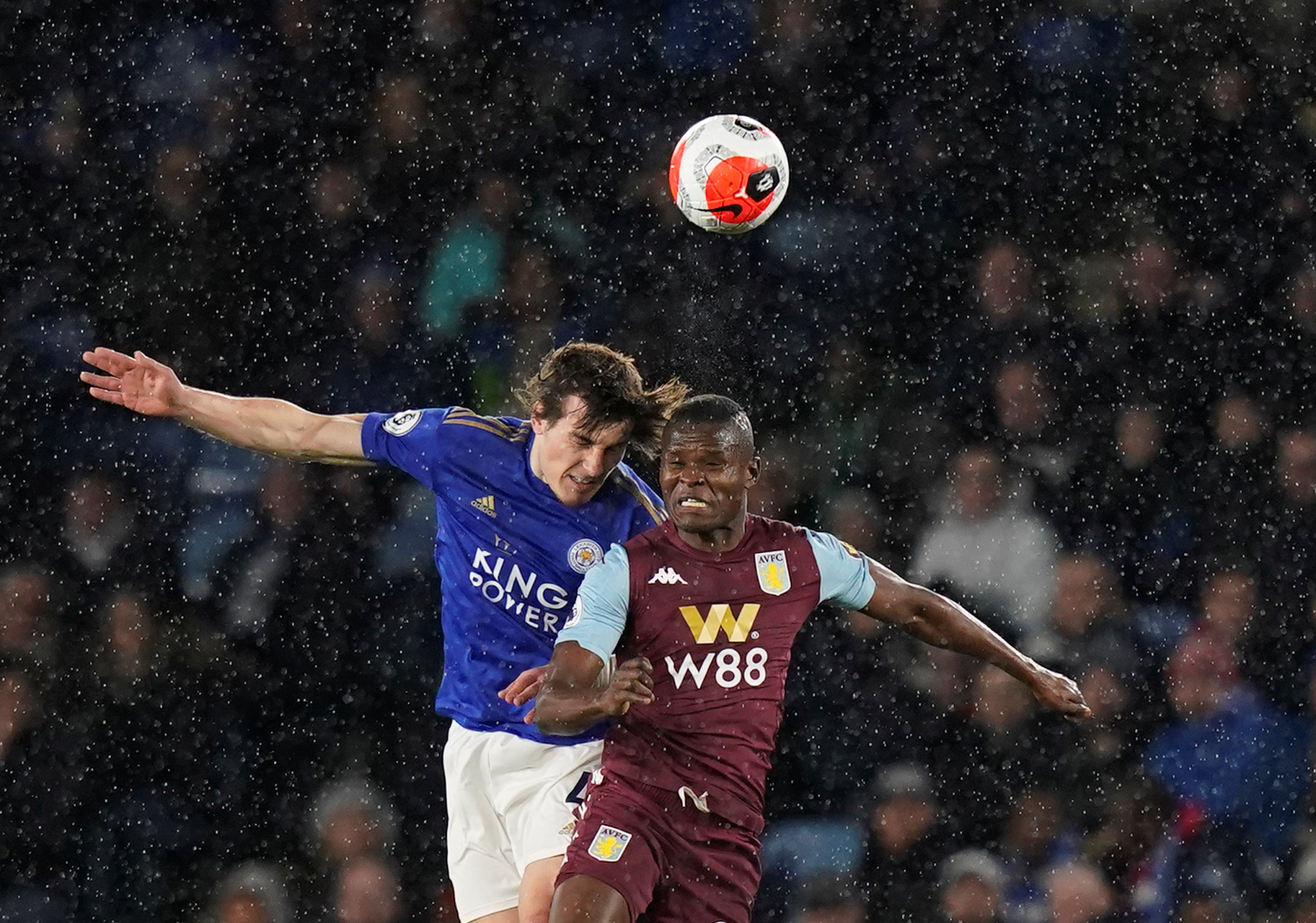 不仅证明了 不仅证明了