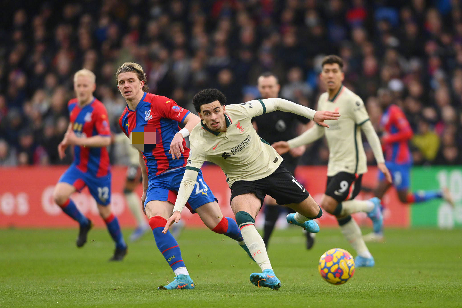 墨菲便展现 墨菲便展现